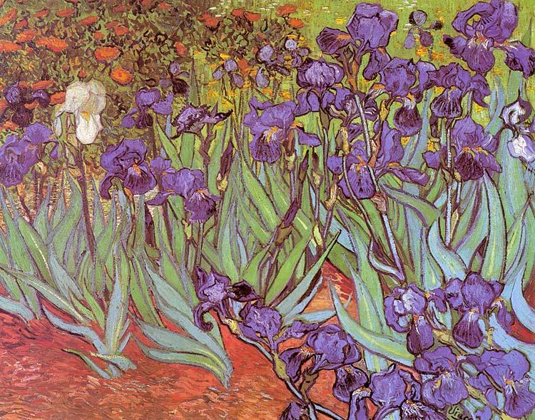 Vincent Van Gogh Irises China oil painting art